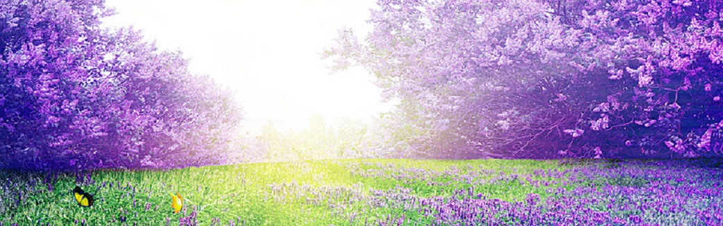 Снится мне...