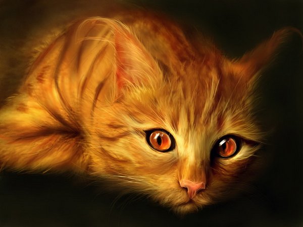 Ко Дню кошек - Детское