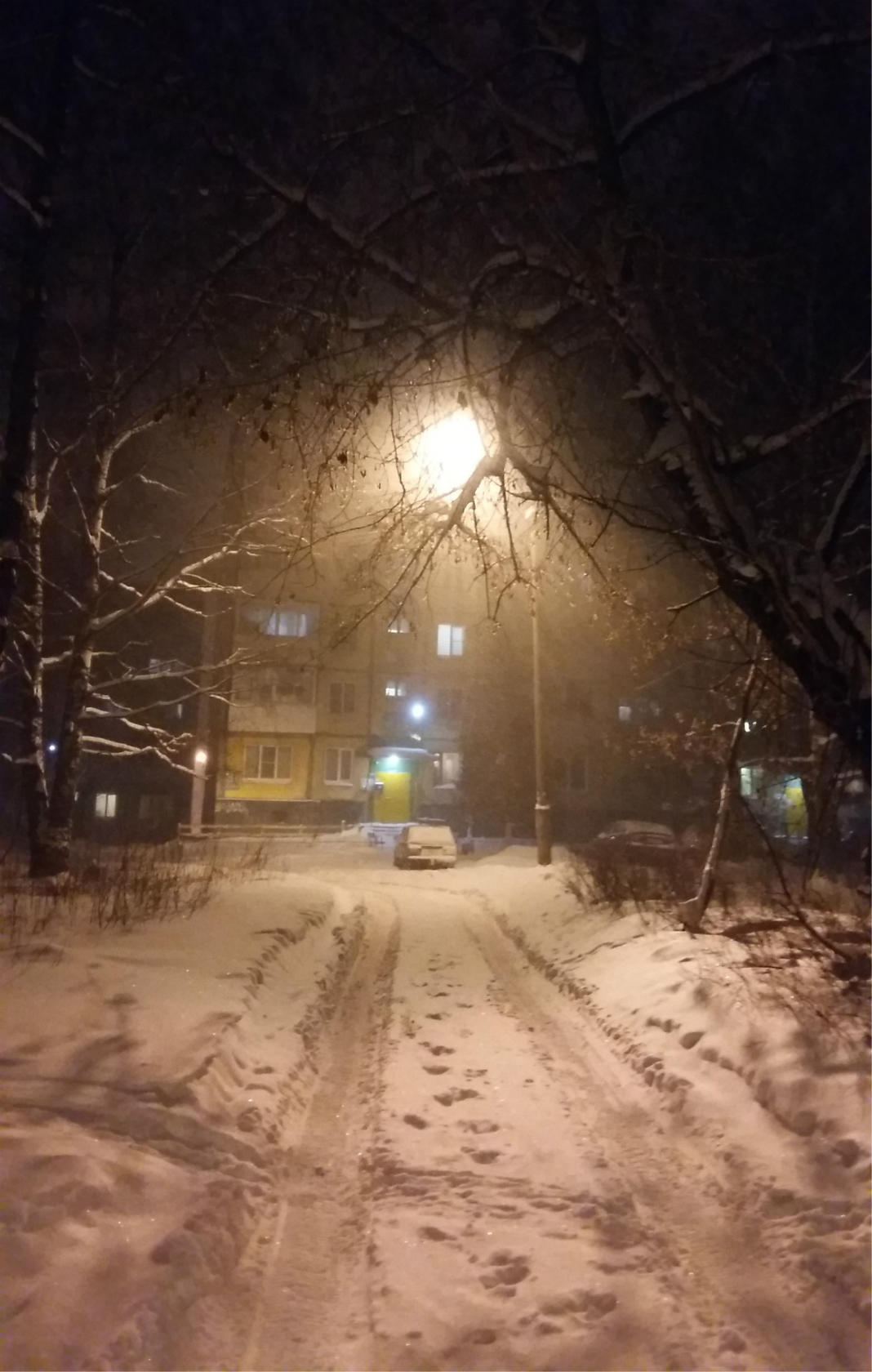 А СНЕГ ВСЕ ШЁЛ