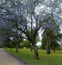 Снова - Осень. Снова - Весна