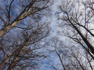 Небо любит воду