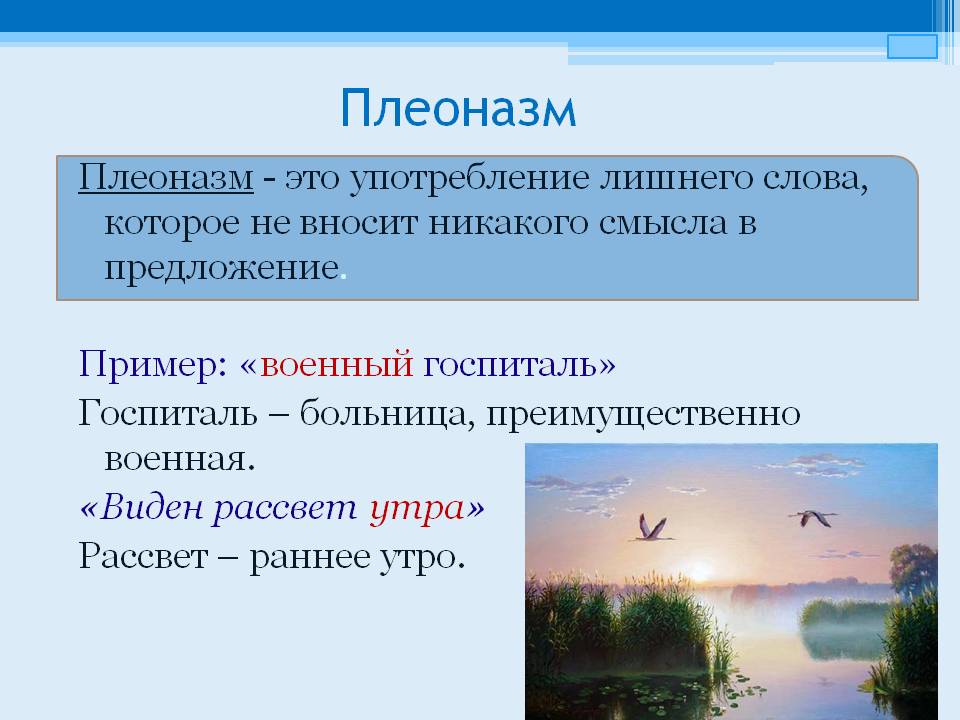 Предложение со словом раннем. Плеоназм. Плеоназм примеры. Плеоназм это кратко. Плеоназм это в русском языке.
