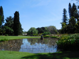 Лето Клубничное