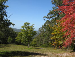Сгорел Апрель