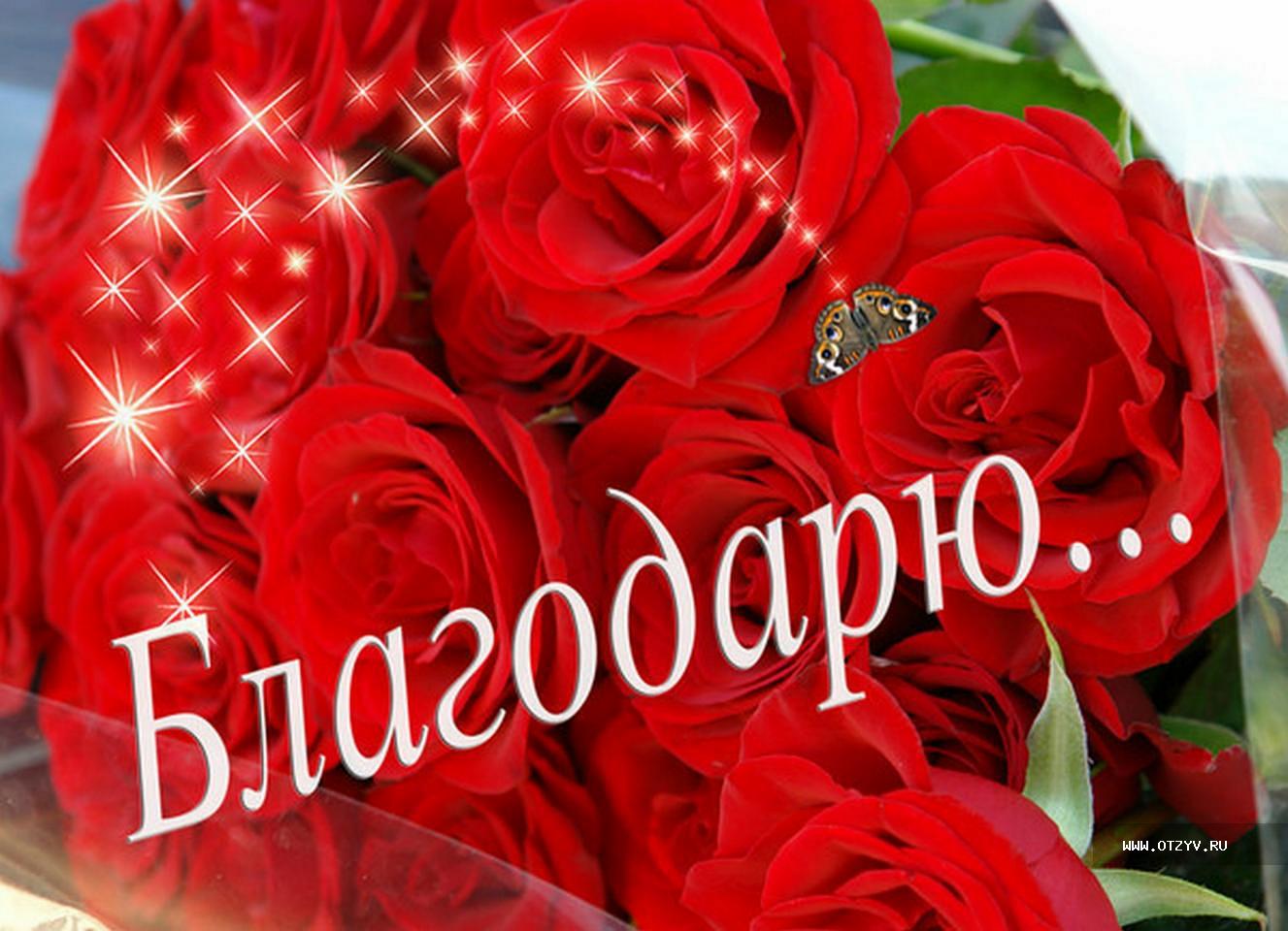 Искренне благодарю