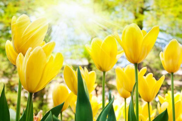 Привет от Весны!