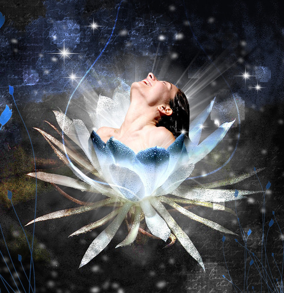 Николаю Лобанову