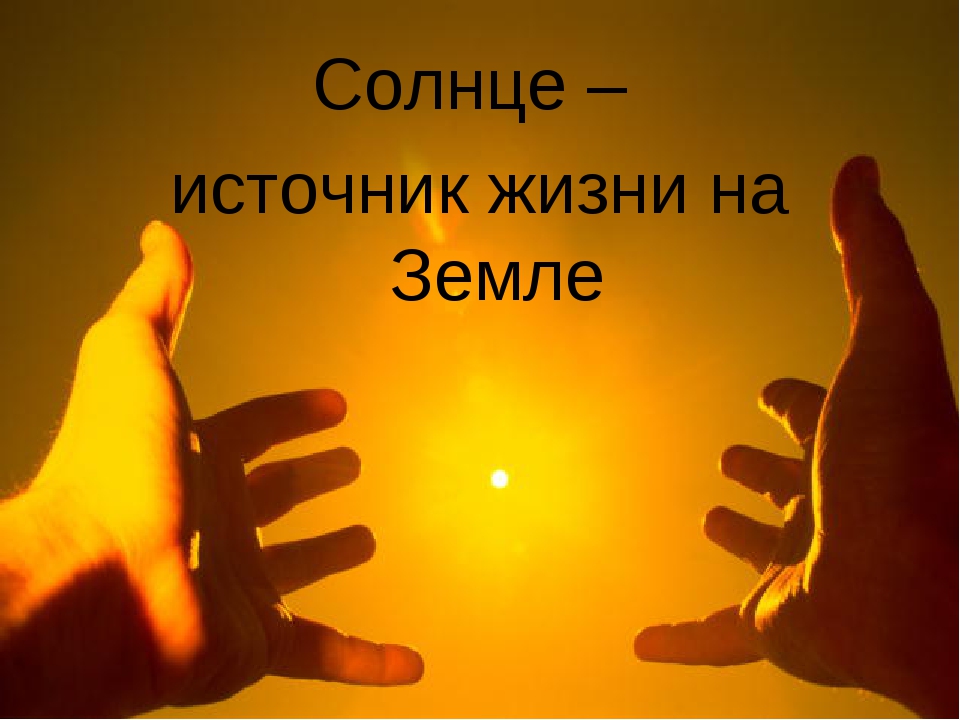 Солнце в душе. Так и живем солнце. Солнце светит. Каждое утро доброе и оно не виновато что ты не выспался. Утреннее солнце.