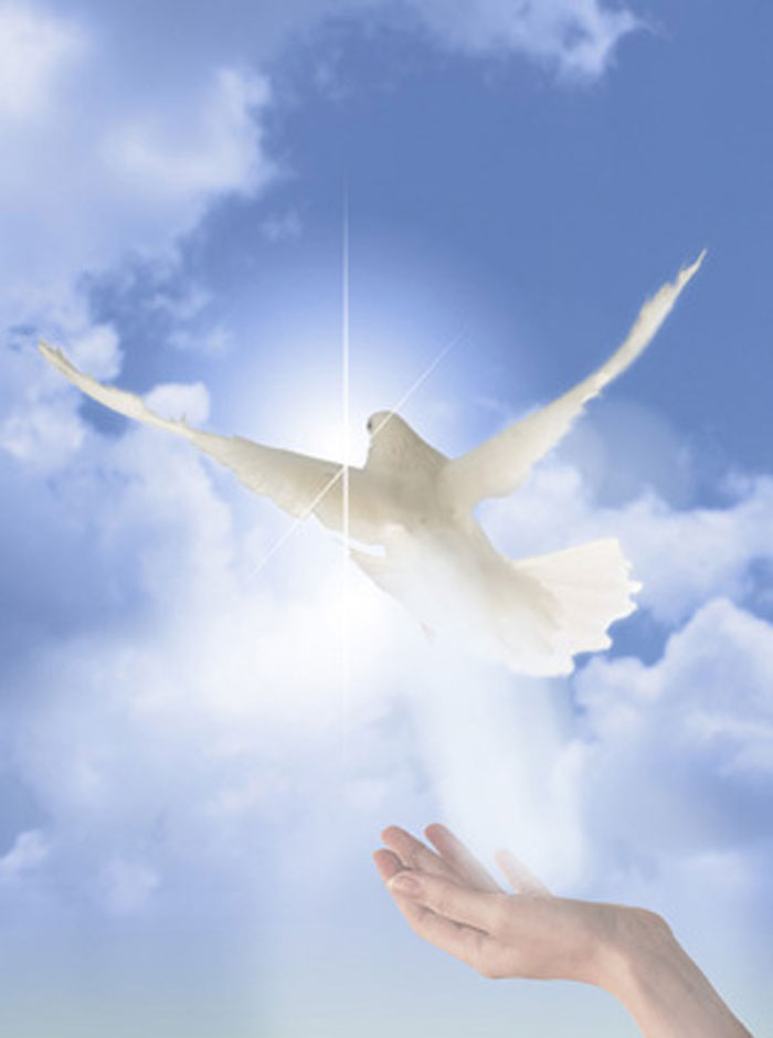 34 Когда сердце любит