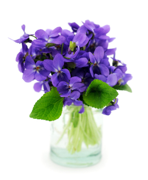 Счастливый сон