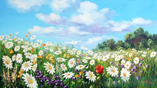 34 Солнечное утро радостно встречает