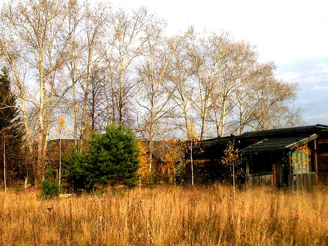 А сколько их ушло с лица земли