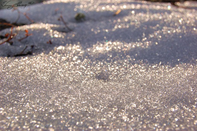 Без вины виноватая