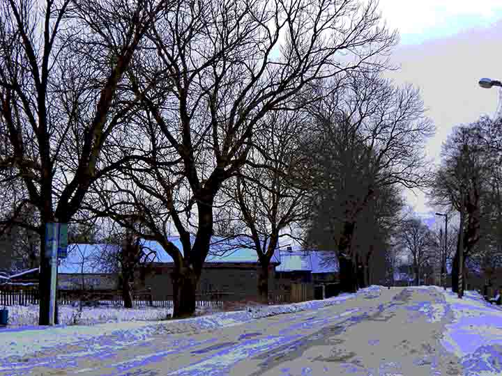 Толька в сумерках начных