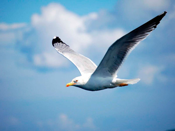 Взлёт и падения только с настроением...