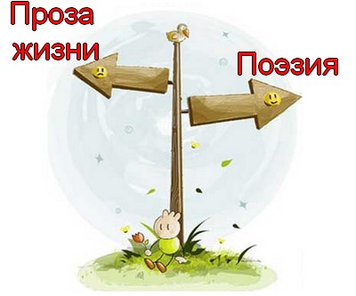 Нелёгкий выбор