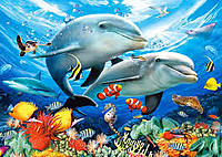 Подводный мир