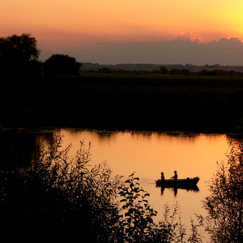 Два сердечка