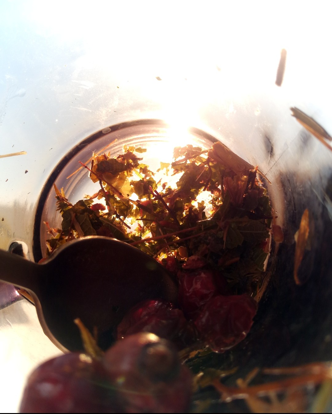 Воспоминания о лете