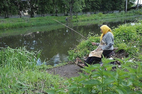 Надежда последней умирает...