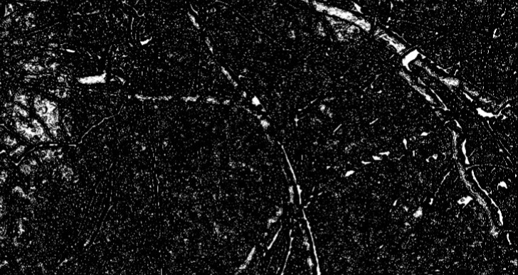 Я зачарованно молчал...