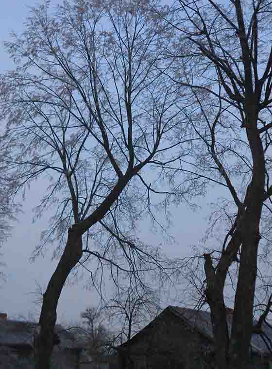 Всюду палитыка! Всюд но б скандал!