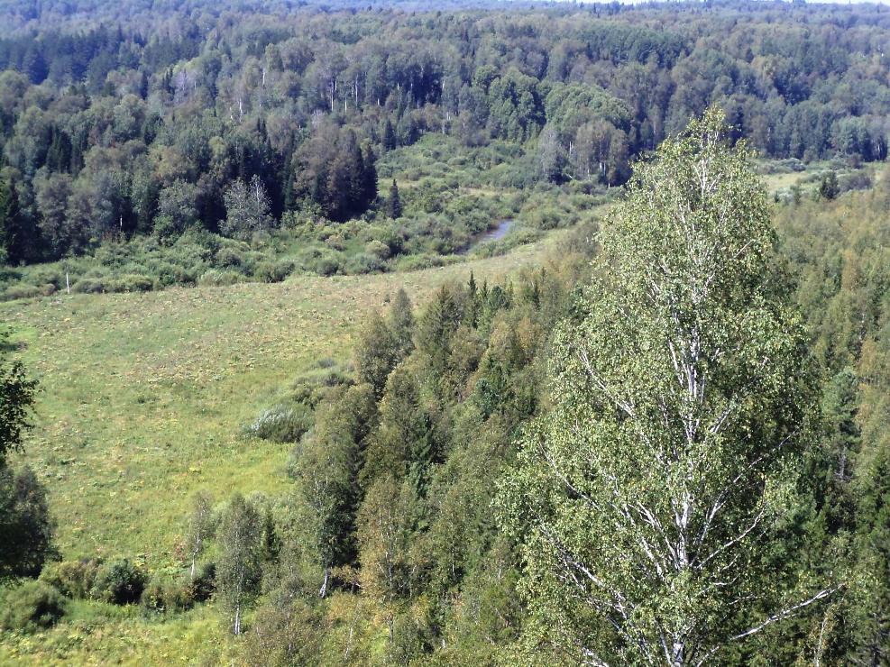 Моя душа с Россией вместе