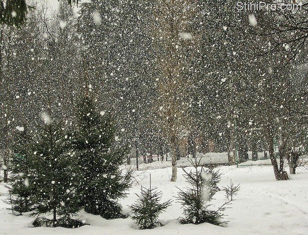 обильный снегопад. снег снежинки. первый снег идет. падающий снег. снегопад метель.