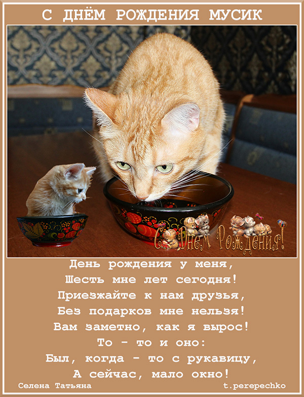 С днем рождения муся картинки