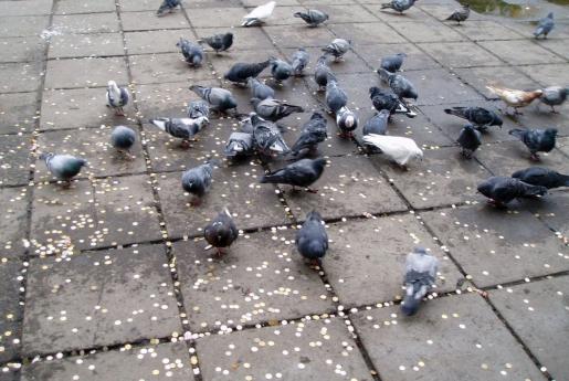 На фоне белого театра