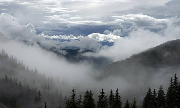 Воздушность лёгких силуэтов...