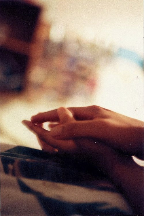 Птицы летели-была лишь игра...