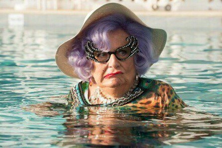 Экспромты на фото. Черепаха Тортилла