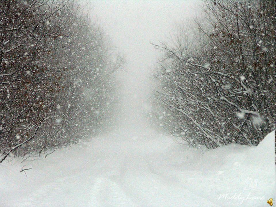 Белые снега