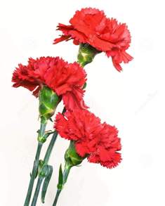 С песнями, вперед!