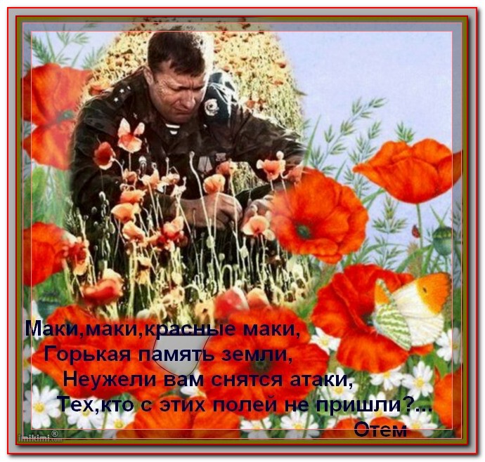 Стих про мак. Горькая память земли песня. Горькая память земли песня. Маки горькая память земли. Красные маки день победы.