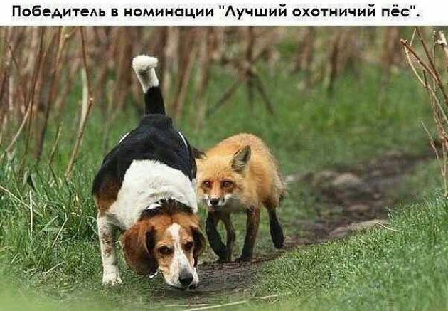 В активном поиске...