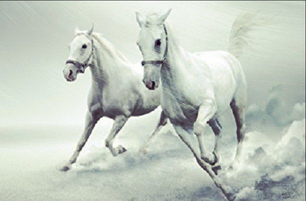 Снежные табуны...