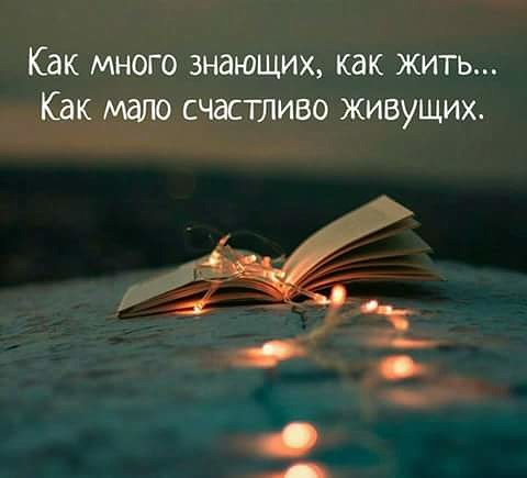 Необычные остановки