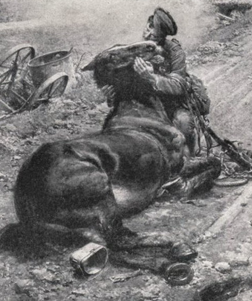 Кто не смог взять себе раненого коня. Лошади на войне.