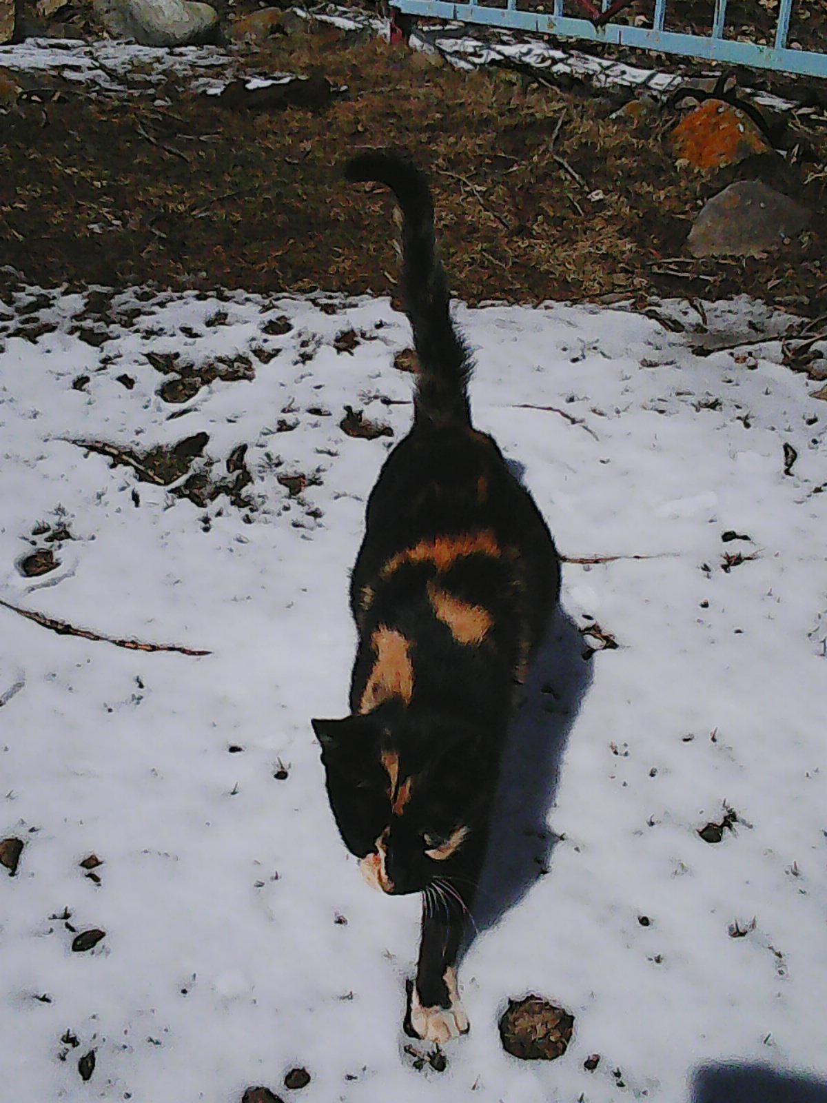 Снегурочка с хвостиком