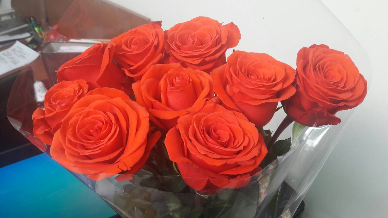 Нет, не меня ты тайно ждёшь...