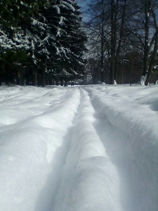 Две параллели... март 2018г