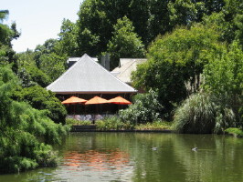 Дремлют Голуби Под Мостом