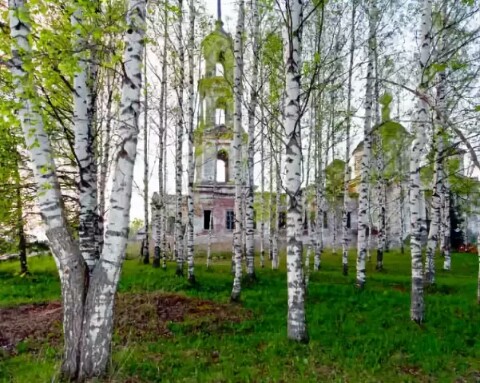 Березовый храм