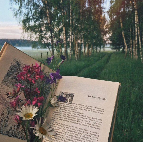 Как закалялись стихи