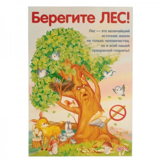 Уничтожают лес в Мытищах