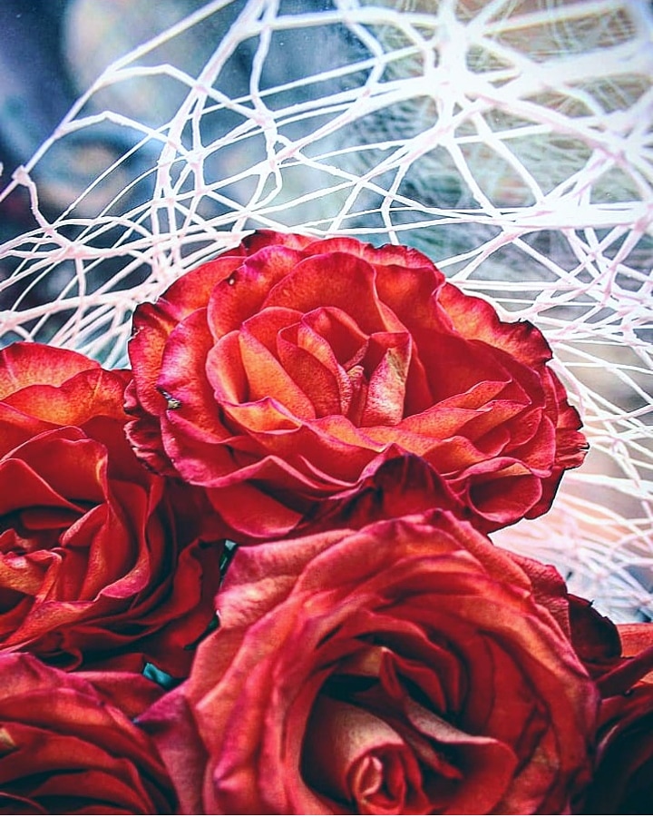 Сквозь пасмурность дней...