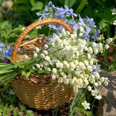 Бежала, пуговки роняя...