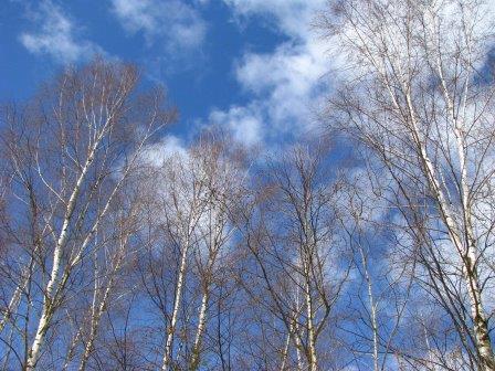 Ни о чем, просто ни о чем